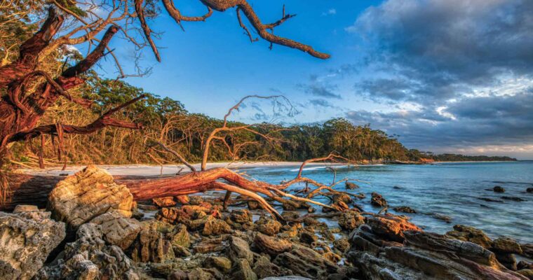 7 Best Activities to Try and Places to Visit in Jervis Bay