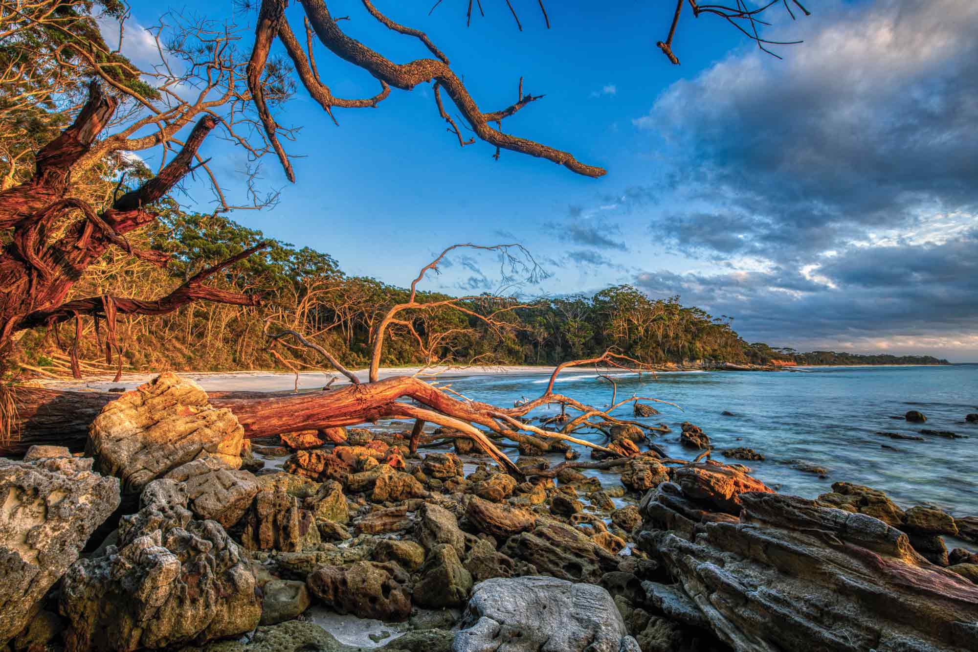 7 Best Activities to Try and Places to Visit in Jervis Bay