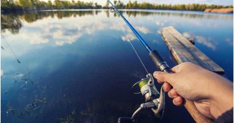 Choose the Best Spinning Rods for Your Next Camping