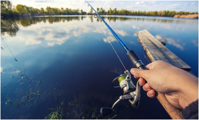 Choose the Best Spinning Rods for Your Next Camping