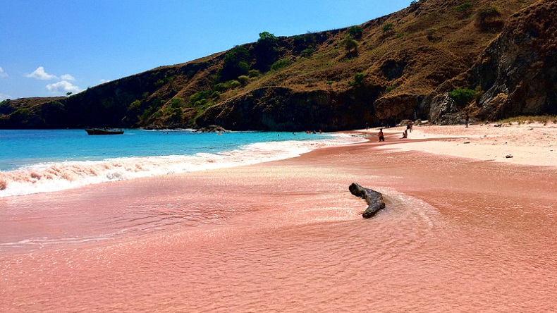 Pink beach, Komodo, Indonesia
