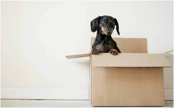 The Top Services To Take Advantage of After a Long-Distance Move