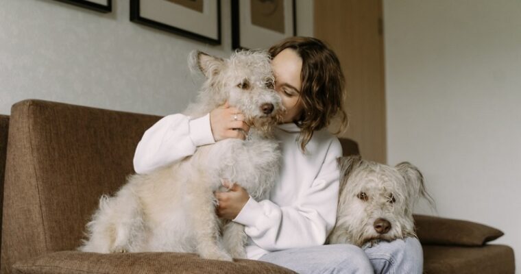 Everyday Pet Care Tips to Keep Your Furry Friends Happy and Healthy