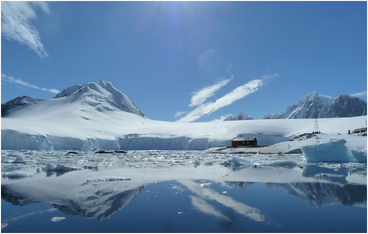 The Increased Popularity Of Antarctic Cruising: Our Overview