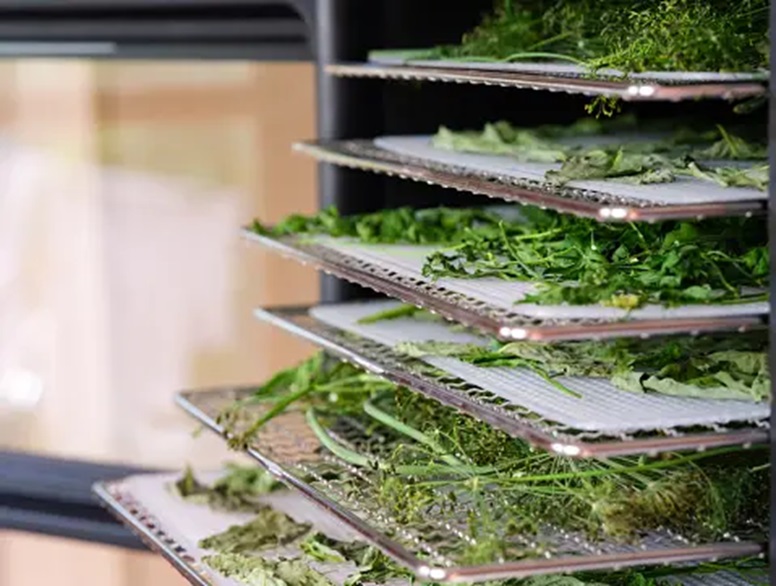Maximizing Efficiency and Quality: A Guide to Choosing the Best Commercial Food Dehydrator Manufacturer for Your Business