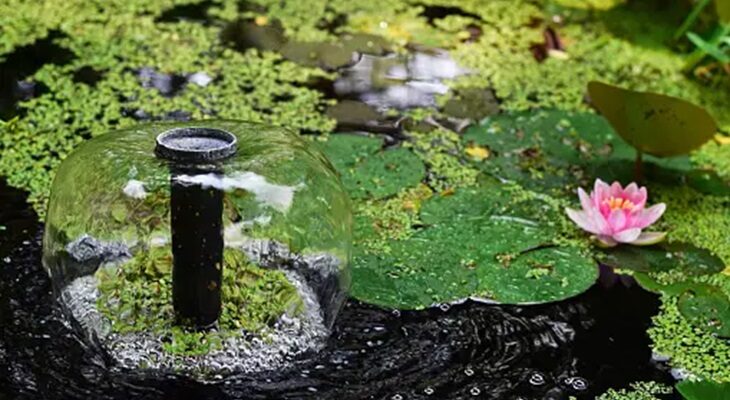 How to Instantly Improve Your Garden’s Curb Appeal With a Floating Pond Fountain