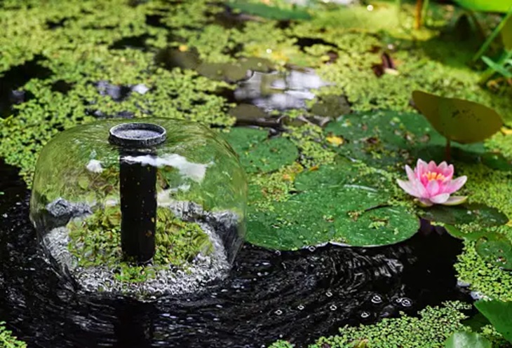 How to Instantly Improve Your Garden’s Curb Appeal With a Floating Pond Fountain