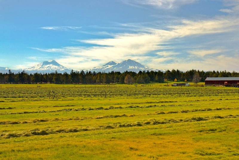 Farms For Sale in Oregon: What to Know