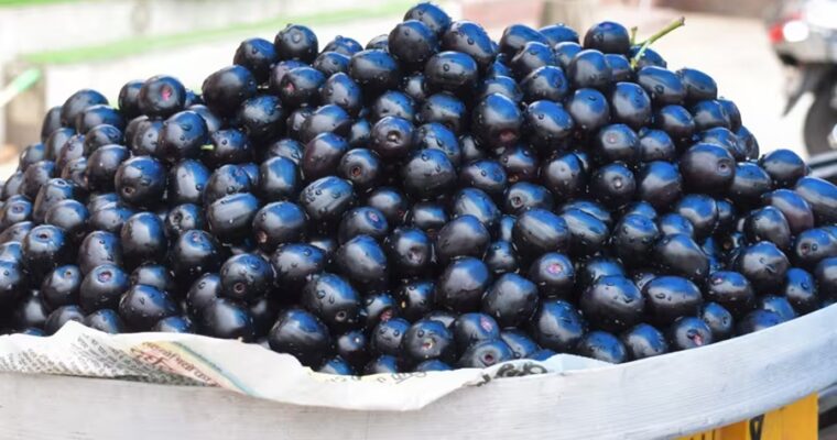 Jamun Fruit: Health Benefits Come with a Warning — Top 5 Side Effects You Should Know