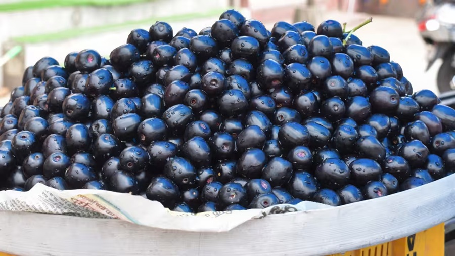Jamun Fruit: Health Benefits Come with a Warning — Top 5 Side Effects You Should Know
