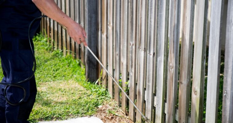 How To Quickly & Safely Conduct Possum Removal In Frankston – The Must‑Read Aussie Guide