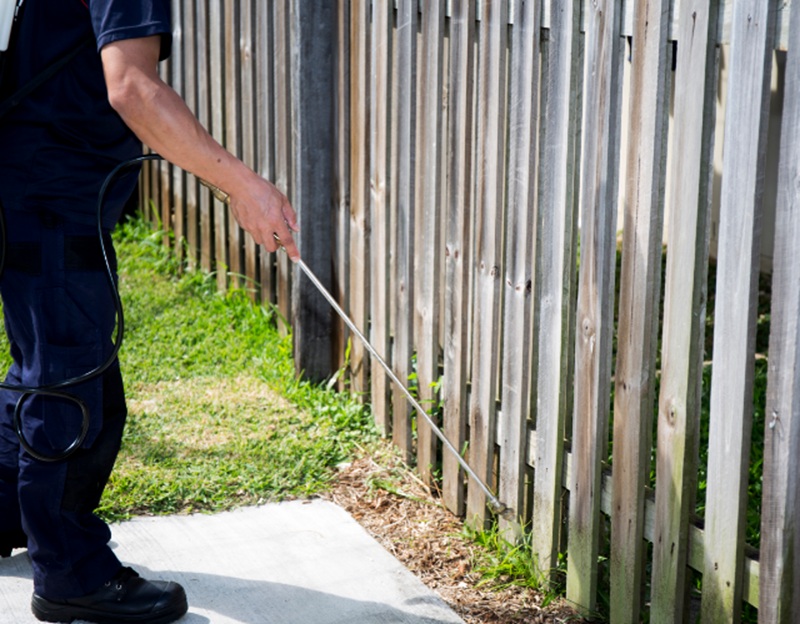 How To Quickly & Safely Conduct Possum Removal In Frankston – The Must‑Read Aussie Guide